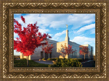 Load image into Gallery viewer, Snowflake Vivid Autumn
