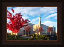 Load image into Gallery viewer, Snowflake Vivid Autumn
