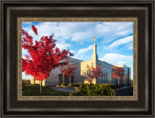 Load image into Gallery viewer, Snowflake Vivid Autumn
