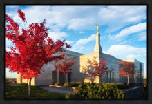 Load image into Gallery viewer, Snowflake Vivid Autumn
