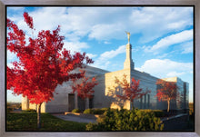 Load image into Gallery viewer, Snowflake Vivid Autumn
