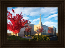 Load image into Gallery viewer, Snowflake Vivid Autumn
