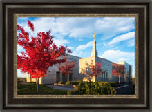 Load image into Gallery viewer, Snowflake Vivid Autumn
