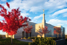 Load image into Gallery viewer, Snowflake Vivid Autumn
