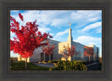 Load image into Gallery viewer, Snowflake Vivid Autumn
