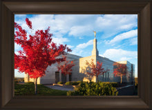 Load image into Gallery viewer, Snowflake Vivid Autumn
