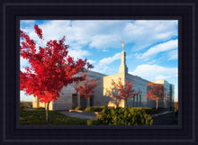 Load image into Gallery viewer, Snowflake Vivid Autumn
