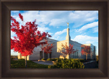 Load image into Gallery viewer, Snowflake Vivid Autumn
