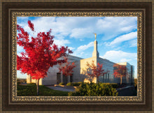 Load image into Gallery viewer, Snowflake Vivid Autumn
