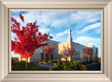 Load image into Gallery viewer, Snowflake Vivid Autumn
