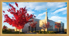 Load image into Gallery viewer, Snowflake Vivid Autumn
