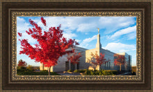 Load image into Gallery viewer, Snowflake Vivid Autumn

