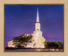 Load image into Gallery viewer, Spirit in St. Louis
