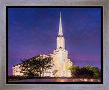 Load image into Gallery viewer, Spirit in St. Louis
