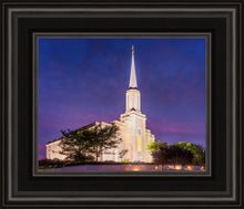 Load image into Gallery viewer, Spirit in St. Louis
