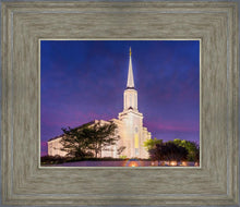 Load image into Gallery viewer, Spirit in St. Louis
