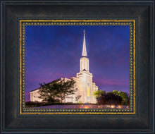 Load image into Gallery viewer, Spirit in St. Louis
