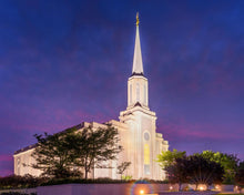 Load image into Gallery viewer, Spirit in St. Louis
