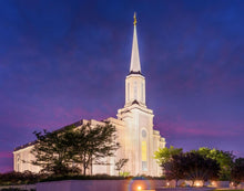 Load image into Gallery viewer, Spirit in St. Louis
