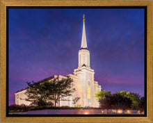 Load image into Gallery viewer, Spirit in St. Louis
