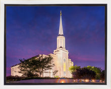 Load image into Gallery viewer, Spirit in St. Louis
