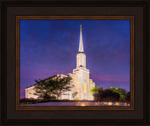 Load image into Gallery viewer, Spirit in St. Louis
