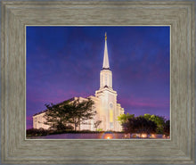 Load image into Gallery viewer, Spirit in St. Louis
