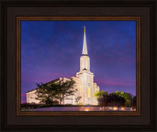 Load image into Gallery viewer, Spirit in St. Louis
