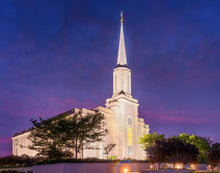 Load image into Gallery viewer, Spirit in St. Louis
