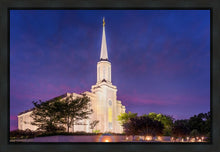 Load image into Gallery viewer, Spirit in St. Louis
