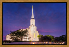 Load image into Gallery viewer, Spirit in St. Louis
