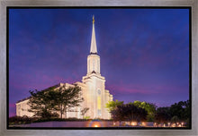 Load image into Gallery viewer, Spirit in St. Louis
