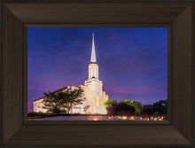 Load image into Gallery viewer, Spirit in St. Louis
