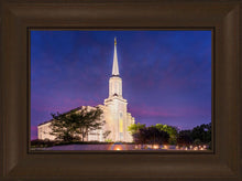 Load image into Gallery viewer, Spirit in St. Louis
