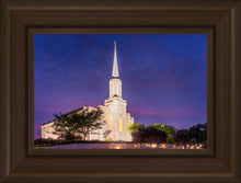 Load image into Gallery viewer, Spirit in St. Louis
