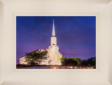 Load image into Gallery viewer, Spirit in St. Louis
