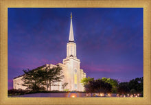 Load image into Gallery viewer, Spirit in St. Louis
