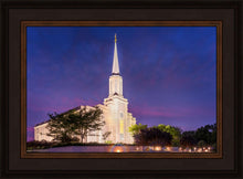 Load image into Gallery viewer, Spirit in St. Louis
