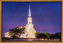 Load image into Gallery viewer, Spirit in St. Louis
