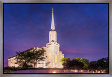 Load image into Gallery viewer, Spirit in St. Louis

