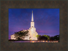 Load image into Gallery viewer, Spirit in St. Louis
