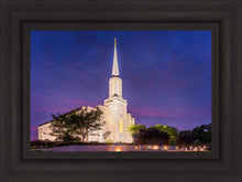 Load image into Gallery viewer, Spirit in St. Louis
