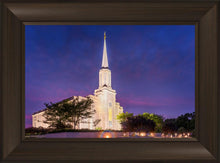 Load image into Gallery viewer, Spirit in St. Louis
