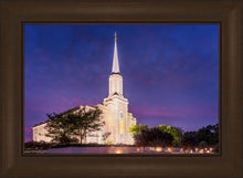 Load image into Gallery viewer, Spirit in St. Louis
