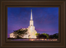 Load image into Gallery viewer, Spirit in St. Louis
