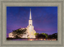 Load image into Gallery viewer, Spirit in St. Louis
