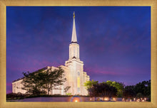Load image into Gallery viewer, Spirit in St. Louis
