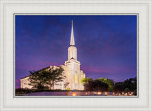 Load image into Gallery viewer, Spirit in St. Louis
