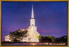 Load image into Gallery viewer, Spirit in St. Louis
