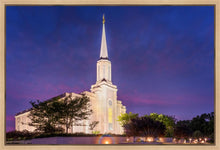 Load image into Gallery viewer, Spirit in St. Louis
